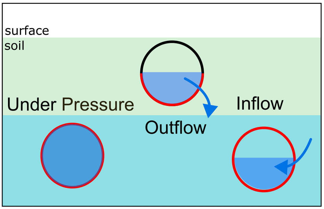 Sketch of 1D-2D groundwater exchange and the wetted perimeter in red depending on the flow direction.